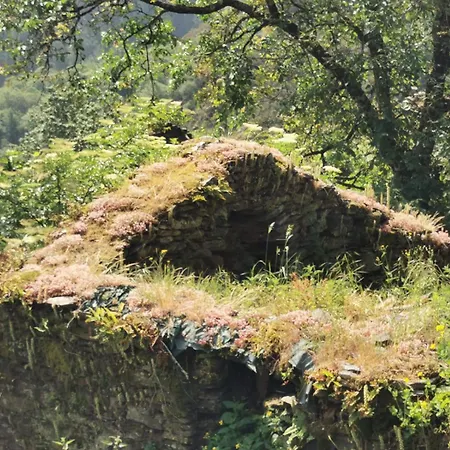 Сasa de vacaciones Casina O Lar Ferreira (Asturias)